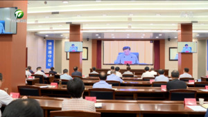 全省旅游高质量发展大会召开  凌云在我市分会场出席并作交流发言