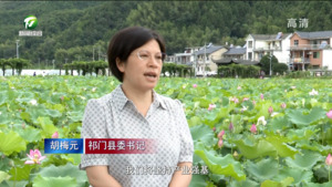 胡梅元：聚焦“世界红茶之都 美丽康养祁门”目标 奋力绘就和美乡村新画卷