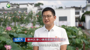 张天天：“五微”扮靓和美乡村