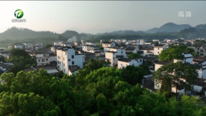 党建带群建 共建徽风皖韵和美乡村满天星