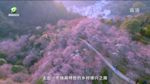 百名村官话振兴：歙县卖花渔村
