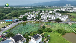以设计推动乡村建设 让艺术赋能乡村振兴【千万工程 和美乡村】