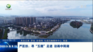 严匡扶：寻“五微”足迹 访画中阳湖