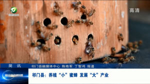 简讯：祁门县：养殖“小”蜜蜂 发展“大”产业