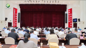 市委理论学习中心组学习会召开 凌云强调：扎实开展大调研大讨论 确保中央和省委决策部署落地见效 肖善武路海燕出席