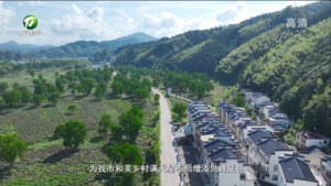 叶华芬：“五微”“五凫”打造和美乡村“满天星”