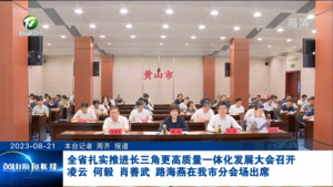 全省扎实推进长三角更高质量一体化发展大会召开 凌云何毅肖善武路海燕在我市分会场出席