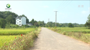 建设高标准农田 推动农业生产提质增效