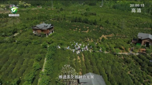 宣永贵：走进元龙故里 感受祁红高香【和美乡村满天星——乡镇党委书记话振兴】