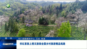 简讯：祁红茶旅上榜文旅部全国乡村旅游精品线路