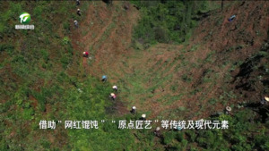 百名村官话振兴：休宁县汊口村