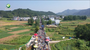 休宁：千年庙会热闹“回归” 烟火气十足