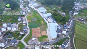百名村官话振兴：歙县横关村