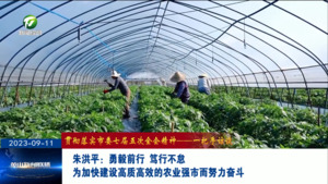 朱洪平：勇毅前行 笃行不怠 为加快建设高质高效的农业强市而努力奋斗
