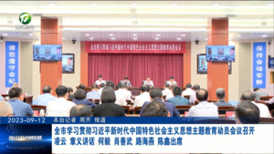 全市学习贯彻习近平新时代中国特色社会主义思想主题教育动员会议召开 凌云 章义讲话 何毅 肖善武 路海燕 陈鑫出席