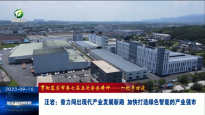 汪岩：奋力闯出现代产业发展新路 加快打造绿色智能的产业强市