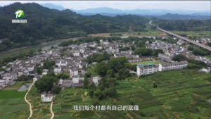 【和美乡村满天星——乡镇党委书记话振兴】高毅：践行″五微"行动，助力乡村振兴