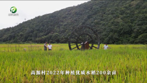 祁门县高源村（百名村官话振兴）