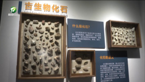 简讯：黄山市地质科普馆开馆