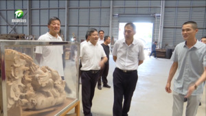 在黄省人大代表赴歙县开展专题调研