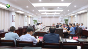 市委政法委员会全体（扩大）会议暨市委全面依法治市委员会司法协调小组全体会议召开 任生 伍春宏出席