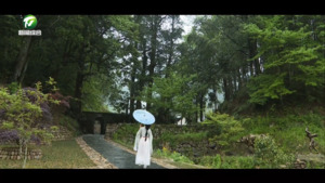 休宁县牛岭村（百名村官话振兴）