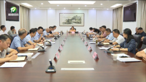 市委农村工作领导小组会议要求 高质高效推进和美乡村建设 江卓琪出席
