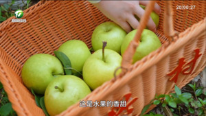 黄山区兴村村（百名村官话振兴）
