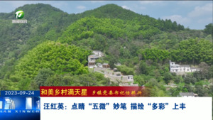 汪红英：点睛“五微”妙笔，描绘“多彩”上丰
