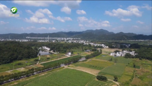 百名村官话振兴:屯溪区汉沙村