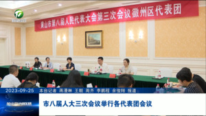 市八届人大三次会议举行各代表团会议