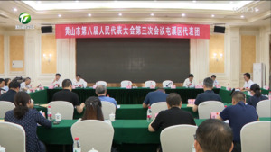 市八届人大三次会议举行各代表团会议