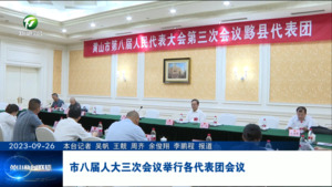 市八届人大三次会议举行各代表团会议