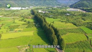 【百名村官话振兴】黄山区陈村村