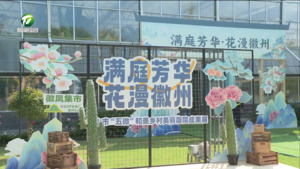 我市启动满庭芳·五美行动 毕普民江卓琪吴灵强出席成果展