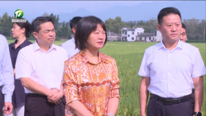 江卓琪要求高质量完成秋收秋种各项任务