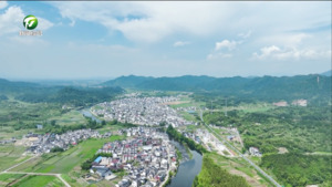 【和美乡村满天星——乡镇党委书记话振兴】张健：“五微行动”助力美丽乡村建设