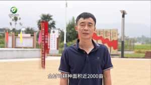 【百名村官话振兴】黄山区白果树村