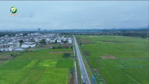徽州区高标准农田建设稳步推进
