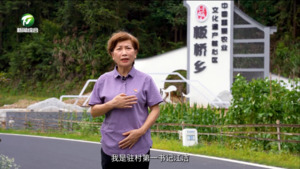 休宁县板桥村（百名村官话振兴）