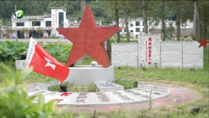 和美乡村满天星 汪琦：发挥“五微”力量 “点靓”柯村星火