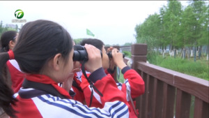 救助野生动物 守护生态之美