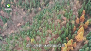 【百名村官话振兴】黄山区安居村