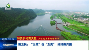 谢卫民：“五微”促“五美” 绘好振兴图