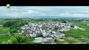 徽州区澄塘村