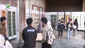 黟见倾心・美好书法季 中国西递家风家训书法作品展举办