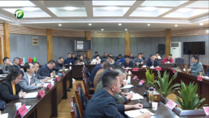 市委专项巡察组全面反馈全市城市绿化工程领域专项巡察情况