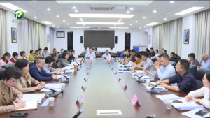 全市儿童友好城市建设工作推进会召开 张明 江卓琪出席