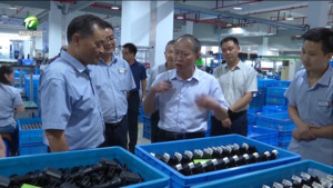 休宁县：坚持“四下基层”  推动主题教育见行见效（学思想 强党性 重实践 建新功）