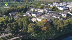 祁门县西塘村（百名村官话振兴）